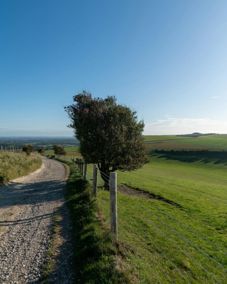 Convalescent Care in Henfield, West Sussex