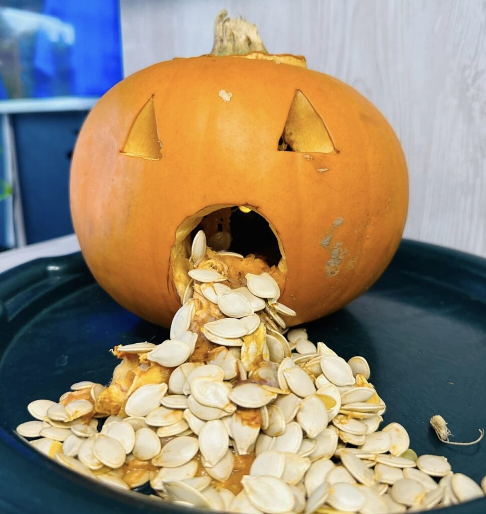 pumpkin carving art